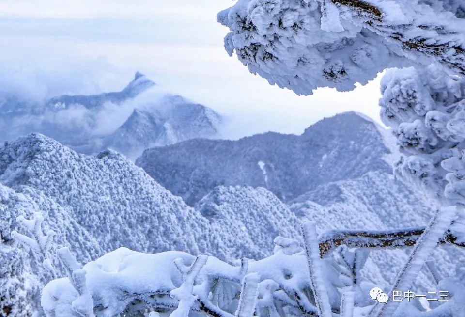 霜情雪意冰为天：四川光雾山记！