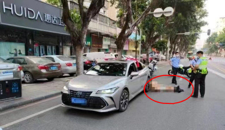 夜查酒驾保平安醉猫凌晨被捉,夜查酒驾4名醉猫落网