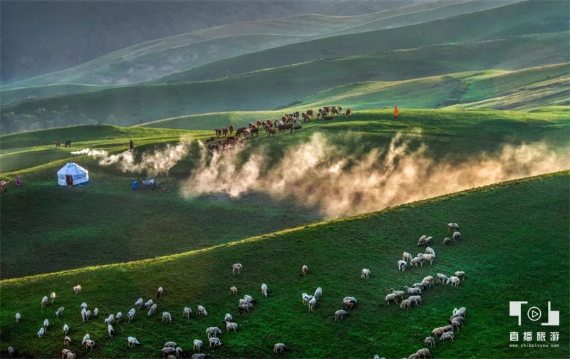 黄花沟旅游攻略10月份吃什么,黄花沟旅游攻略