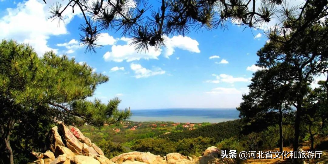 四种海岸线,4k超清海岸线风景