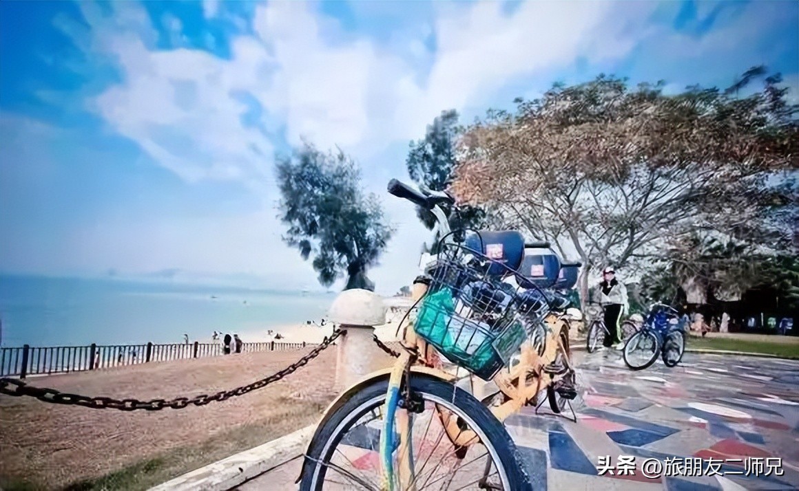 福建武夷山旅游攻略自由行,鼓浪屿武夷山土楼旅行8日游