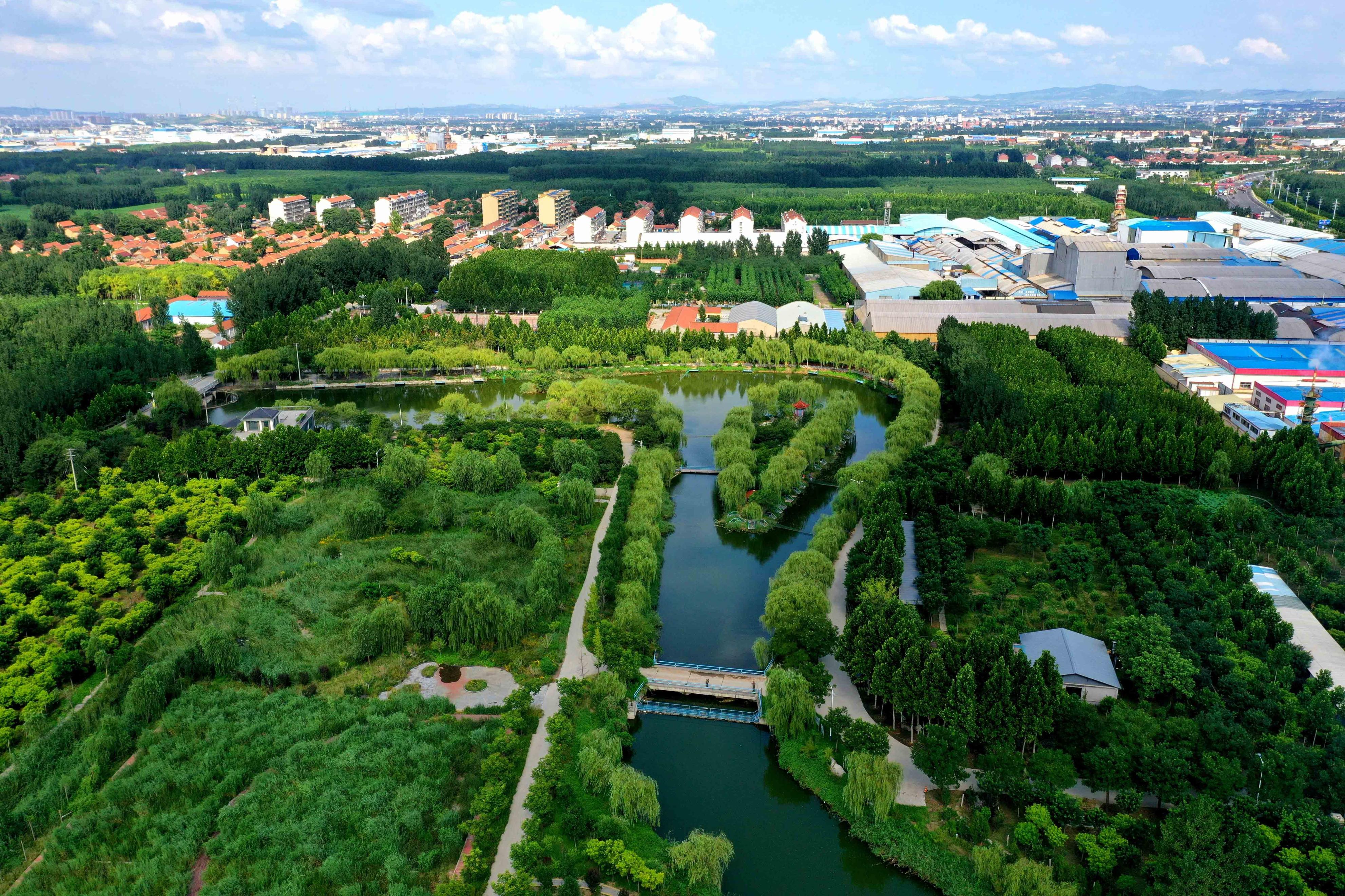 【经开记忆】傅家镇西河村：百年桥上走，龙山脚下焕水清