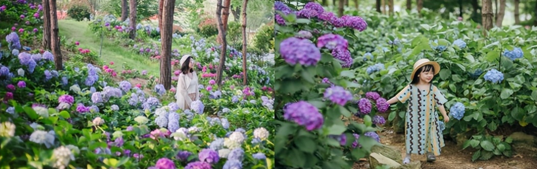 过年买给小朋友的零食礼物,致小朋友的一份礼物请查收