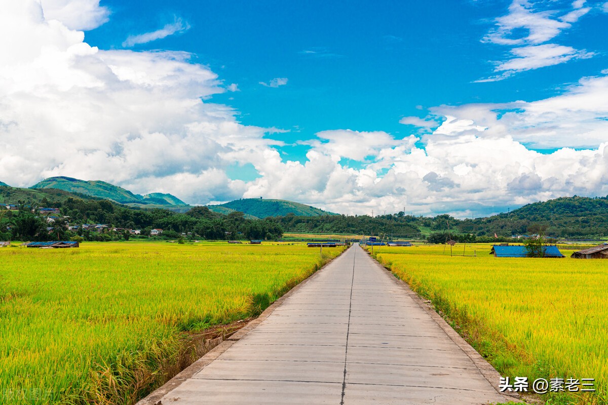 女作家去做保姆651,女作家去做保姆剧情