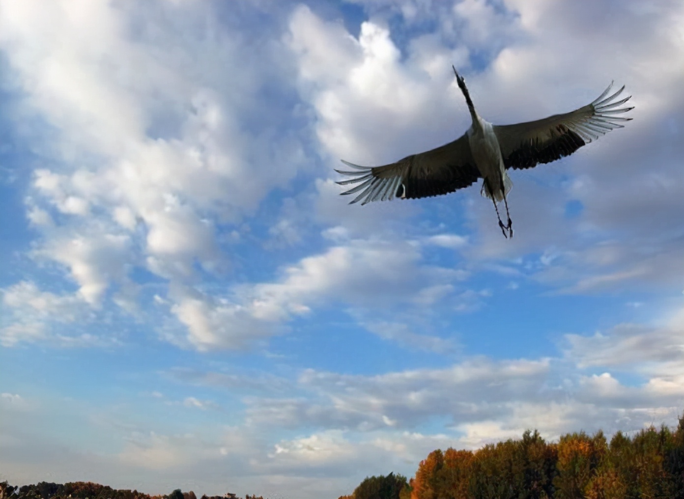 “诗豪”高水平的10首七绝，《望洞庭》第三，哪两首比它更强？
