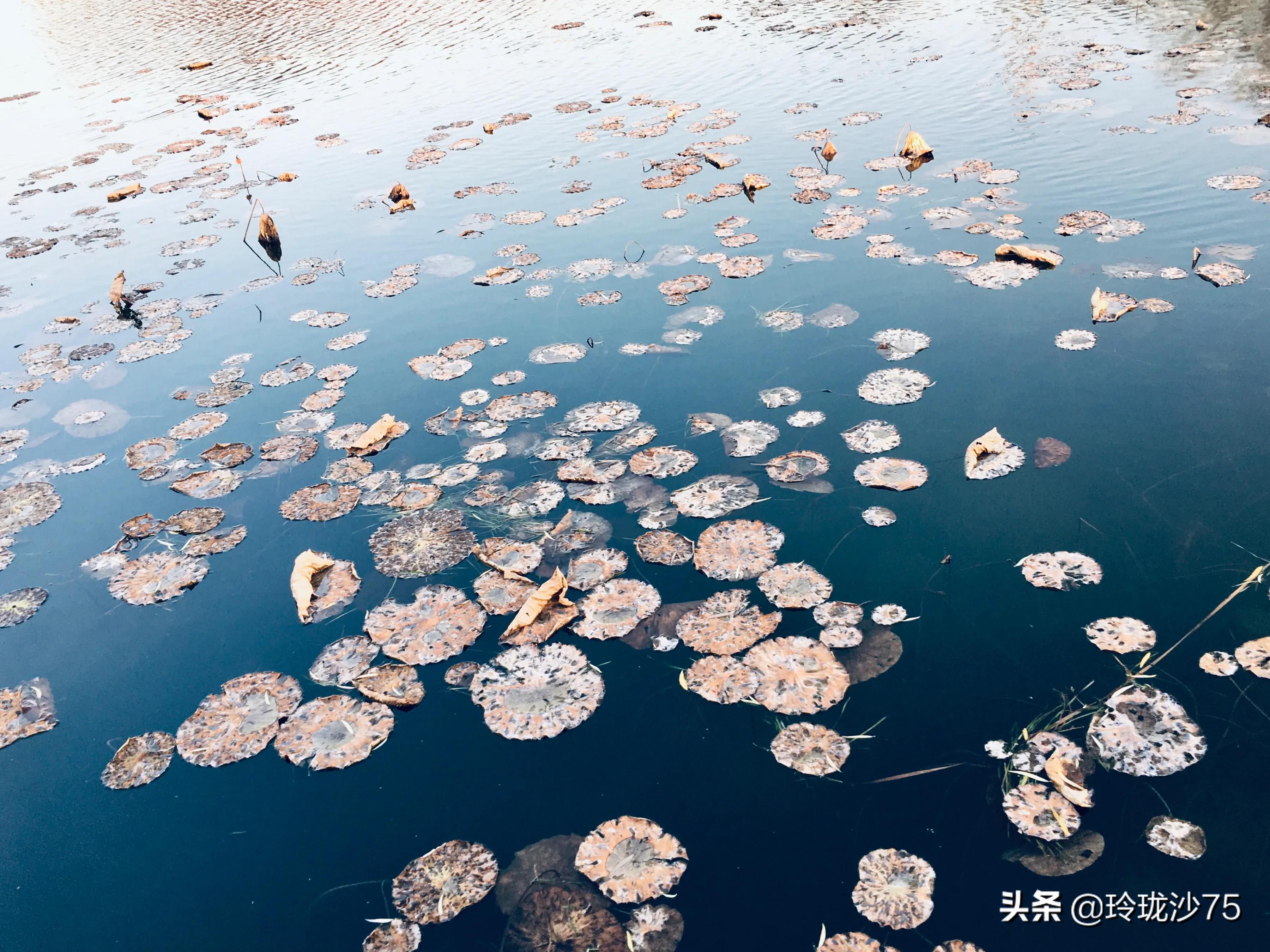 长沙风景美丽的篮球场,长沙王陵公园生态足球场