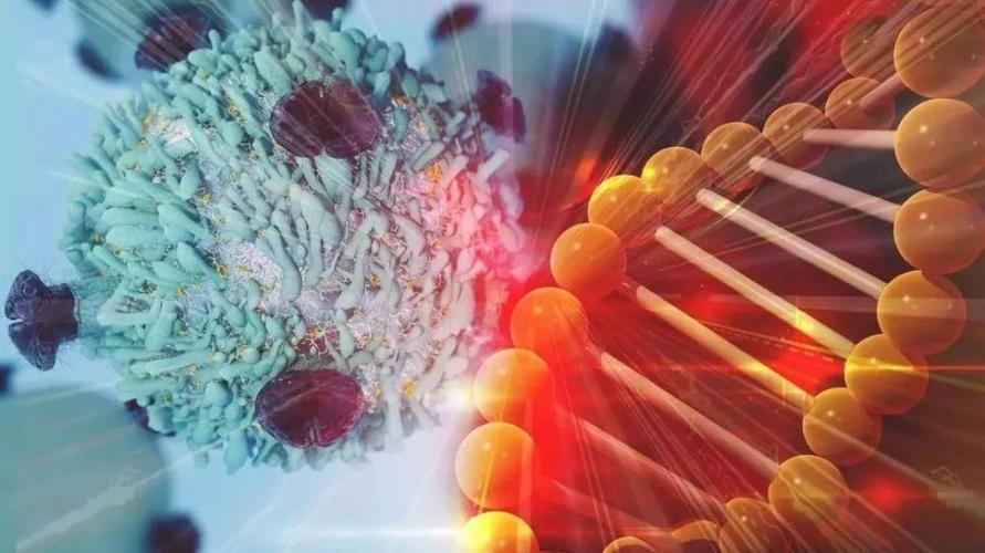 世卫组织公布「一级致癌物」名单,能不吃就不吃,别任性妄为!