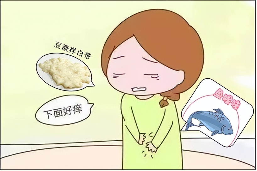 【掌健识】HPV感染和反复阴道炎有关吗