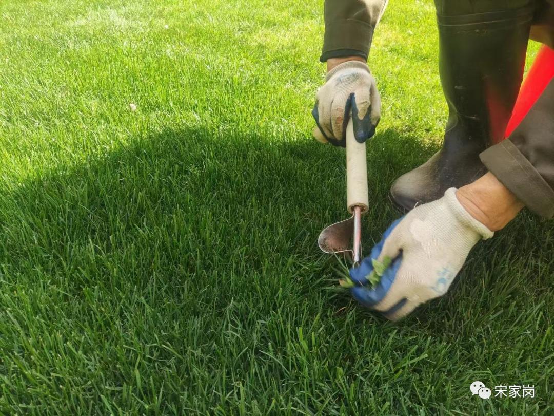 武汉盘龙城种草专业户—新力帝泊湾小区,小区品质离不开细节处理