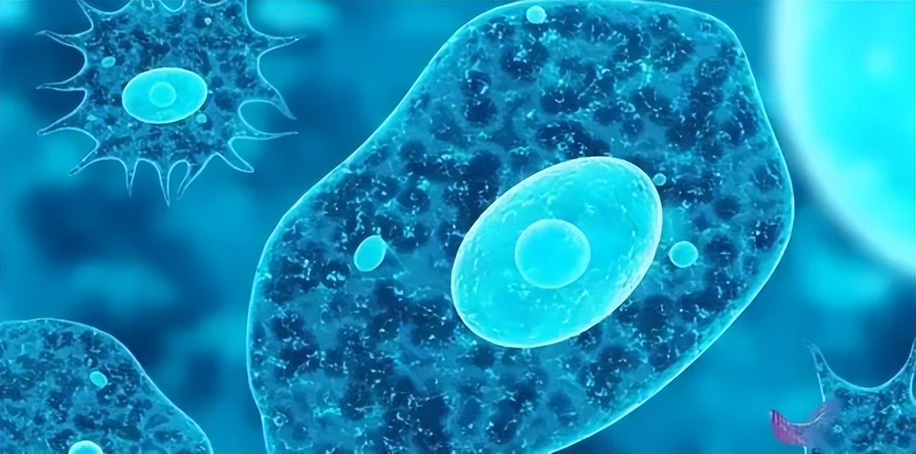 贵州一家三口到海南旅游，6岁儿子下海游泳后高烧不退病危，医生：整个大脑像豆腐渣