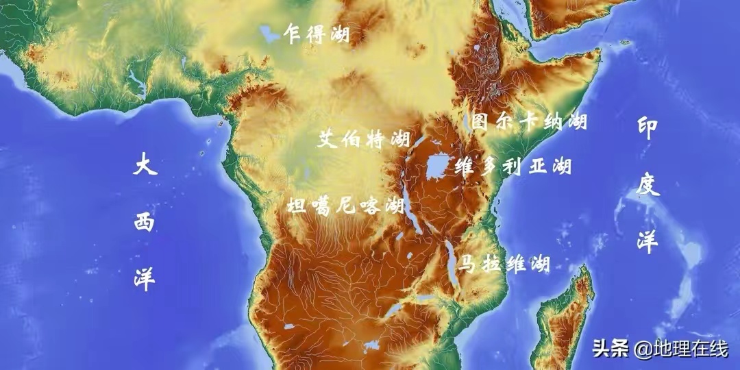 比较容易养的三湖鲷鱼,推荐几款适合新手饲养的观赏鱼