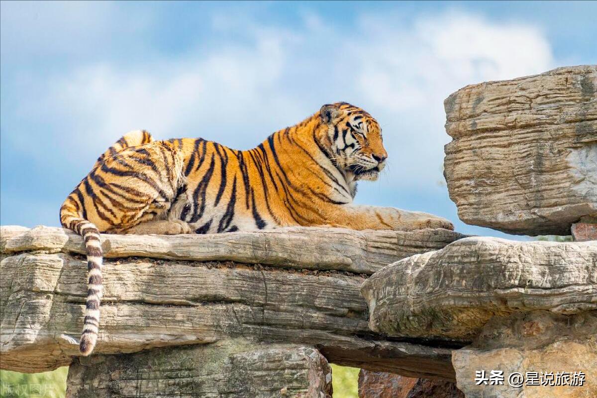 上海5a级景点排名榜名单公布,上海周边有山的5a景区