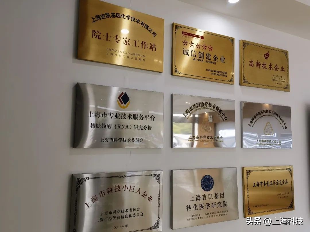 曹跃琼：为中国原创新药，顶峰见|Bio-talk