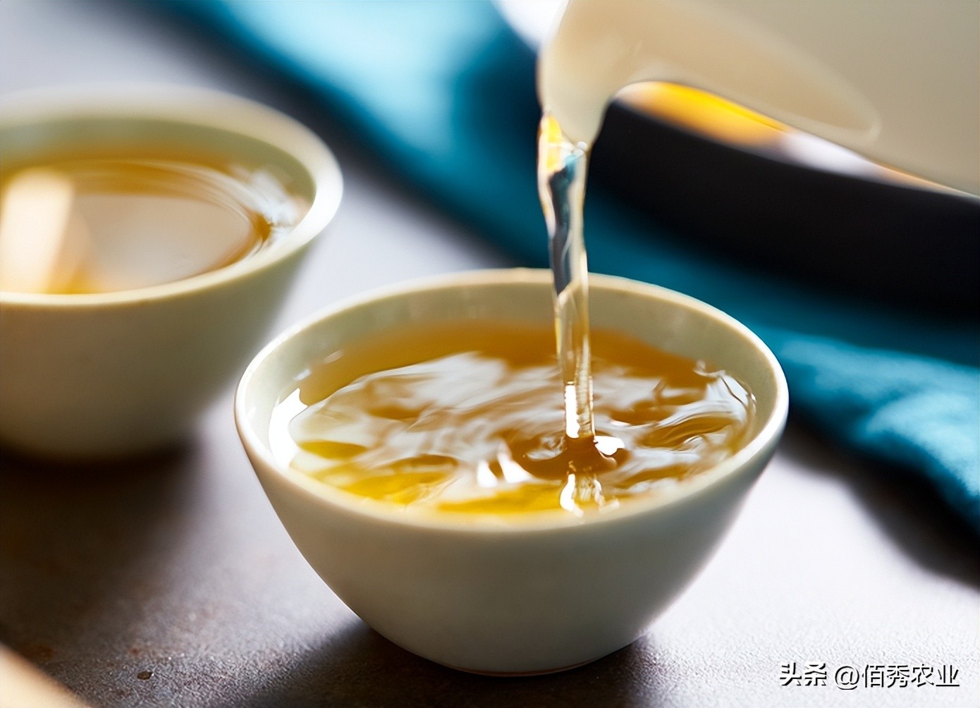 买茶时，别听商家“忽悠”，认准3个选茶标准，轻松买到天然佳茗