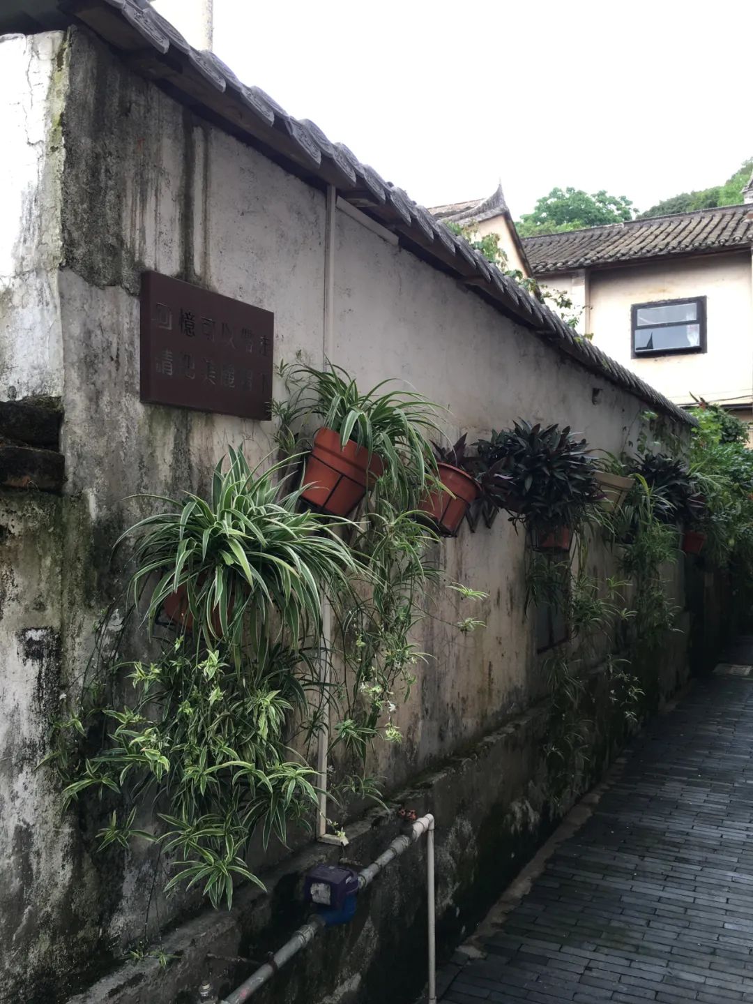 《旭光骑行深圳》第22站——龙华区观湖街道