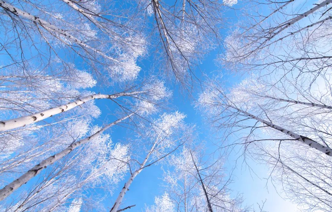 60岁之前必去的34省区最美天堂,最真实最美的旅游地方