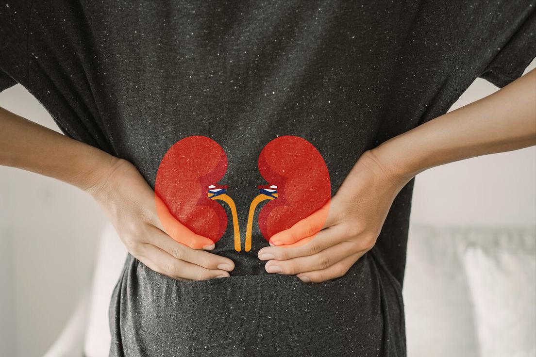 补肾养肾的七大食物推荐,哪些食物是滋阴补肾强筋健骨