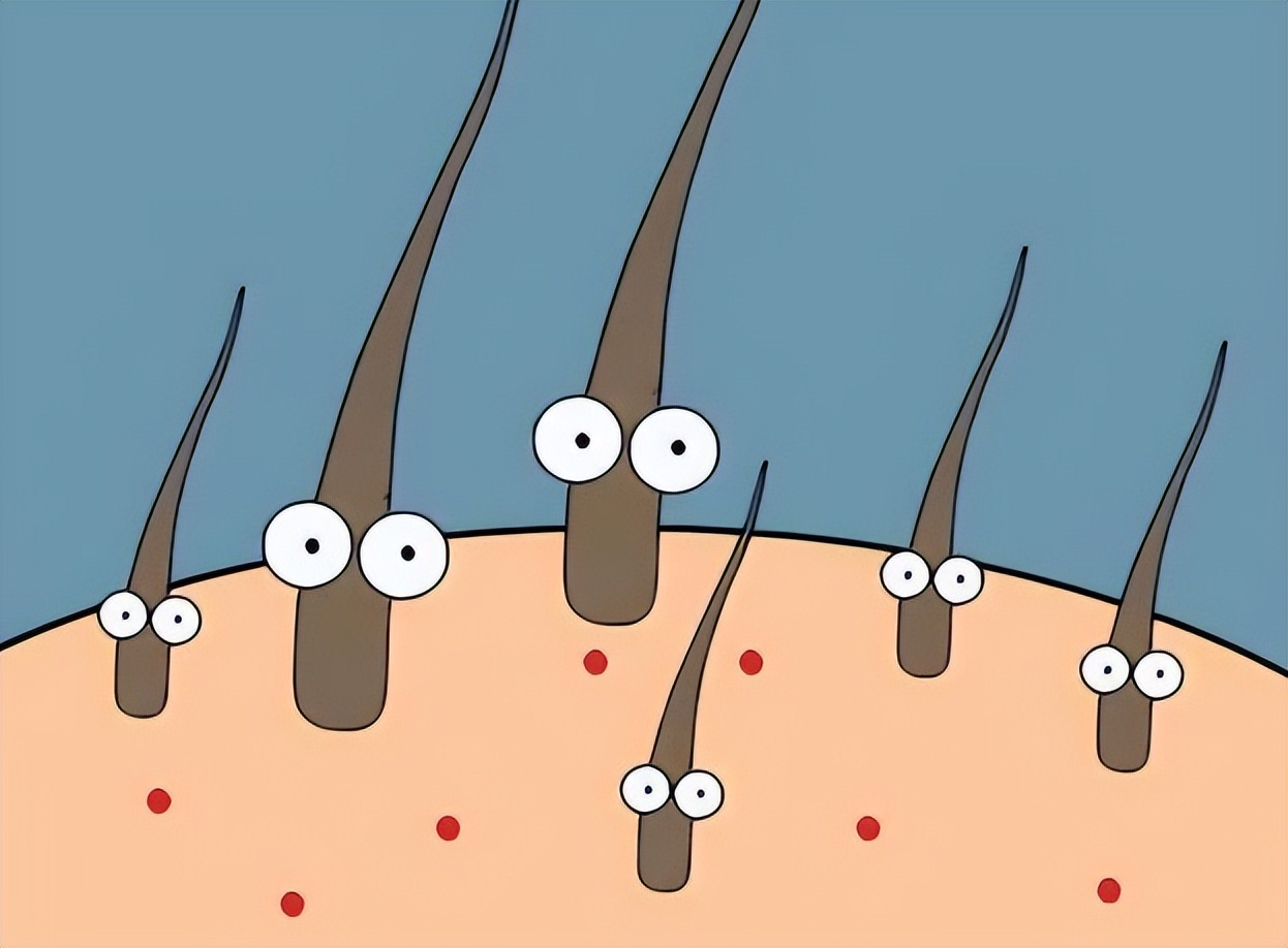 头上起疙瘩有脓包还掉发什么原因,老人头上总是起脓包疙瘩