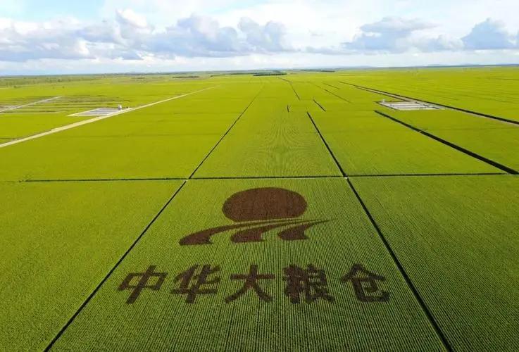 北大荒垦荒什么时候开始的,北大荒退耕还荒原因