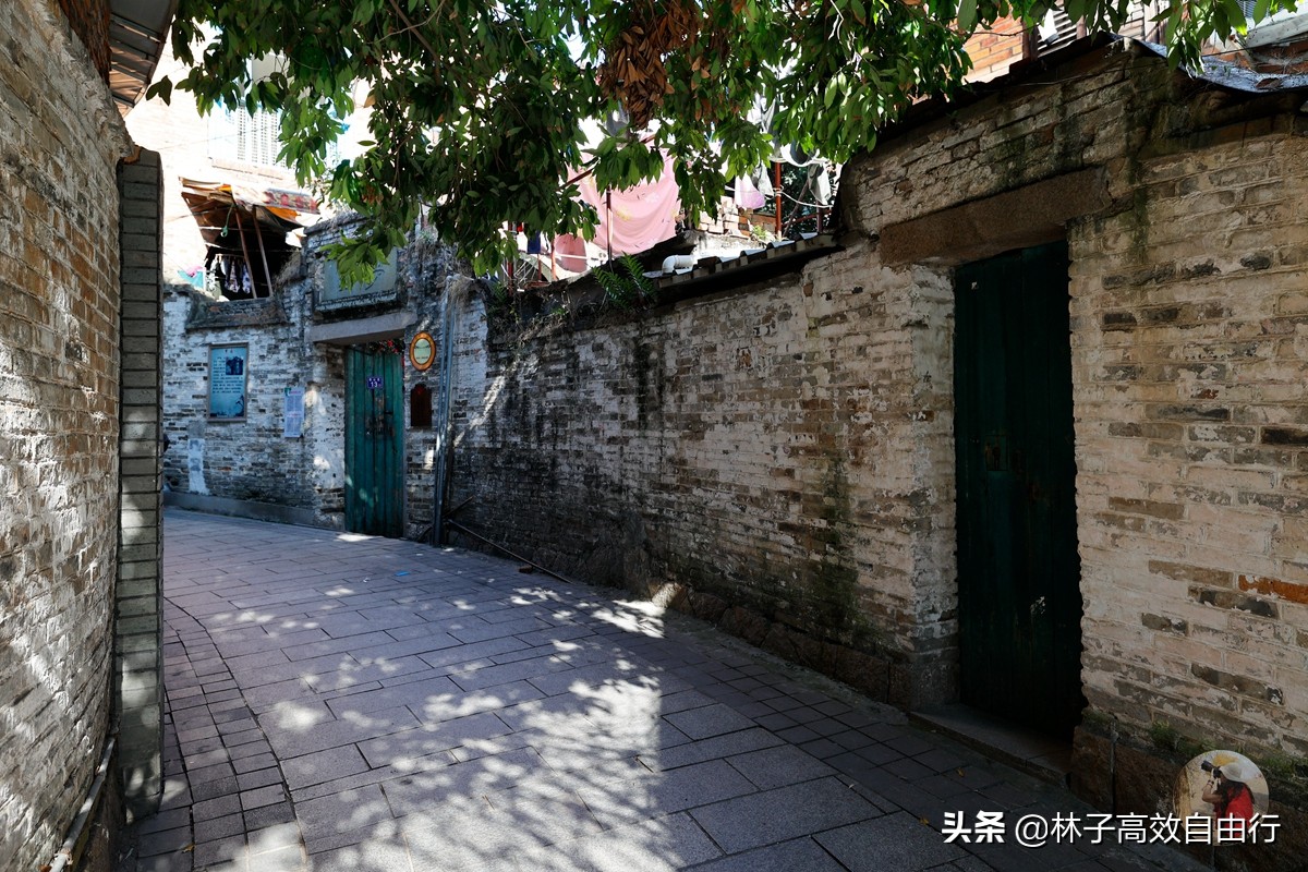 福州最新玩法,福州市区游玩攻略