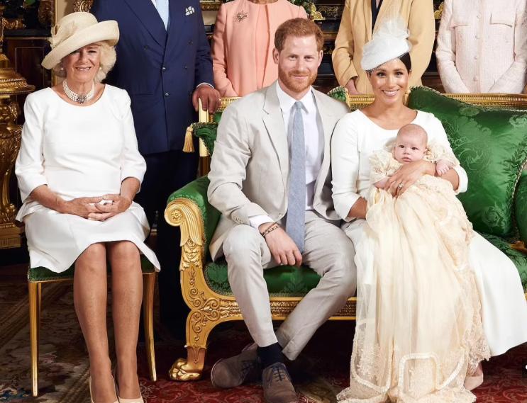 哈里王子为何恨卡米拉,哈里王子抨击卡米拉