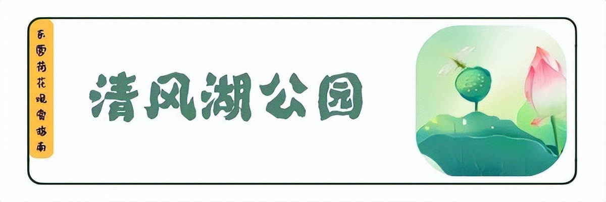 荷你有约环创,荷你有约完整视频