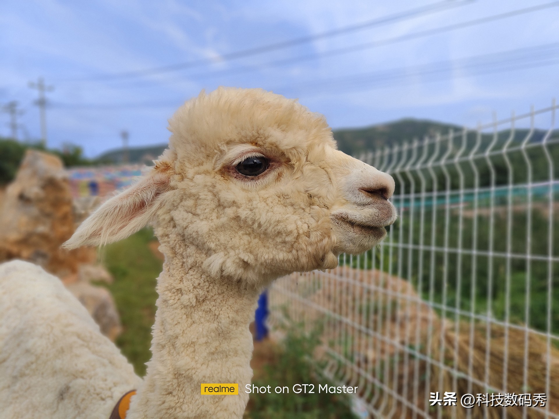 realmegt2大师探索版外观,realme真我gt2大师探索版游戏测评