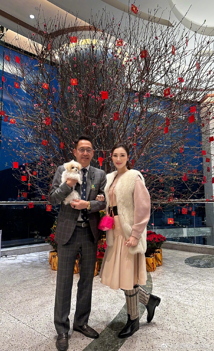 李嘉欣许晋亨结婚10年了还这么甜 (大刘李嘉欣许晋亨)