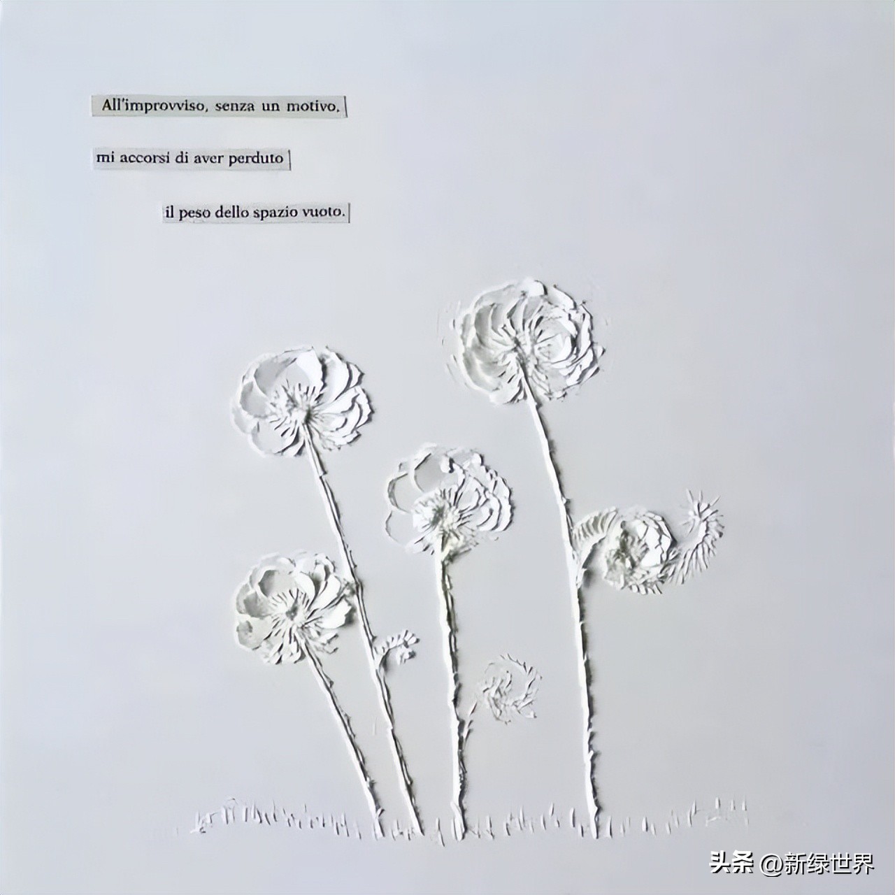 纸艺作品绘画,千变万化的纸艺术作品