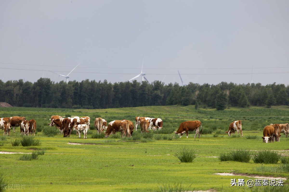 内蒙古二轮土地承包合同,内蒙通辽承包土地政策