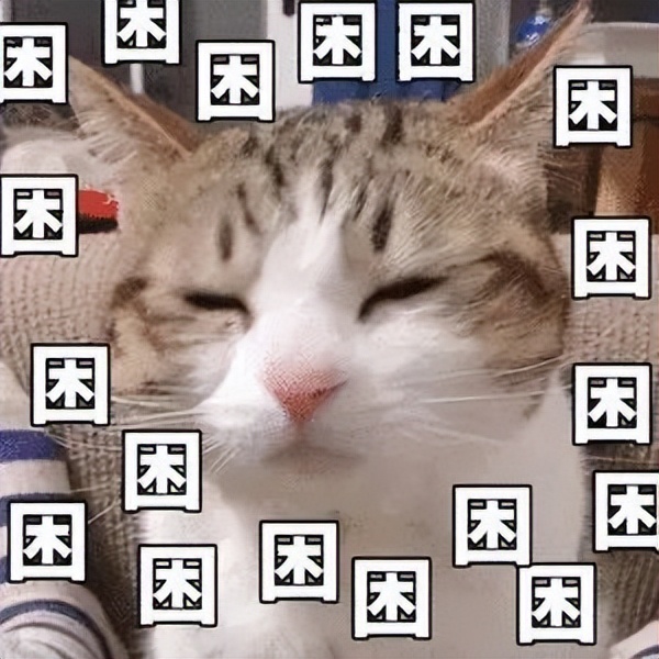 困困困困困困，考研人每天都好困怎么办？