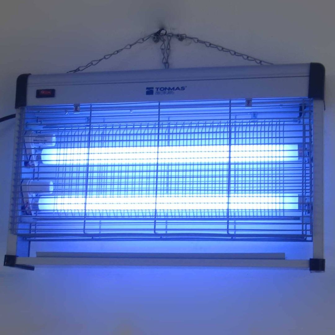 你家中有这几种小粒粒吗？虽然漂亮但危害却不小！发现千万不能留