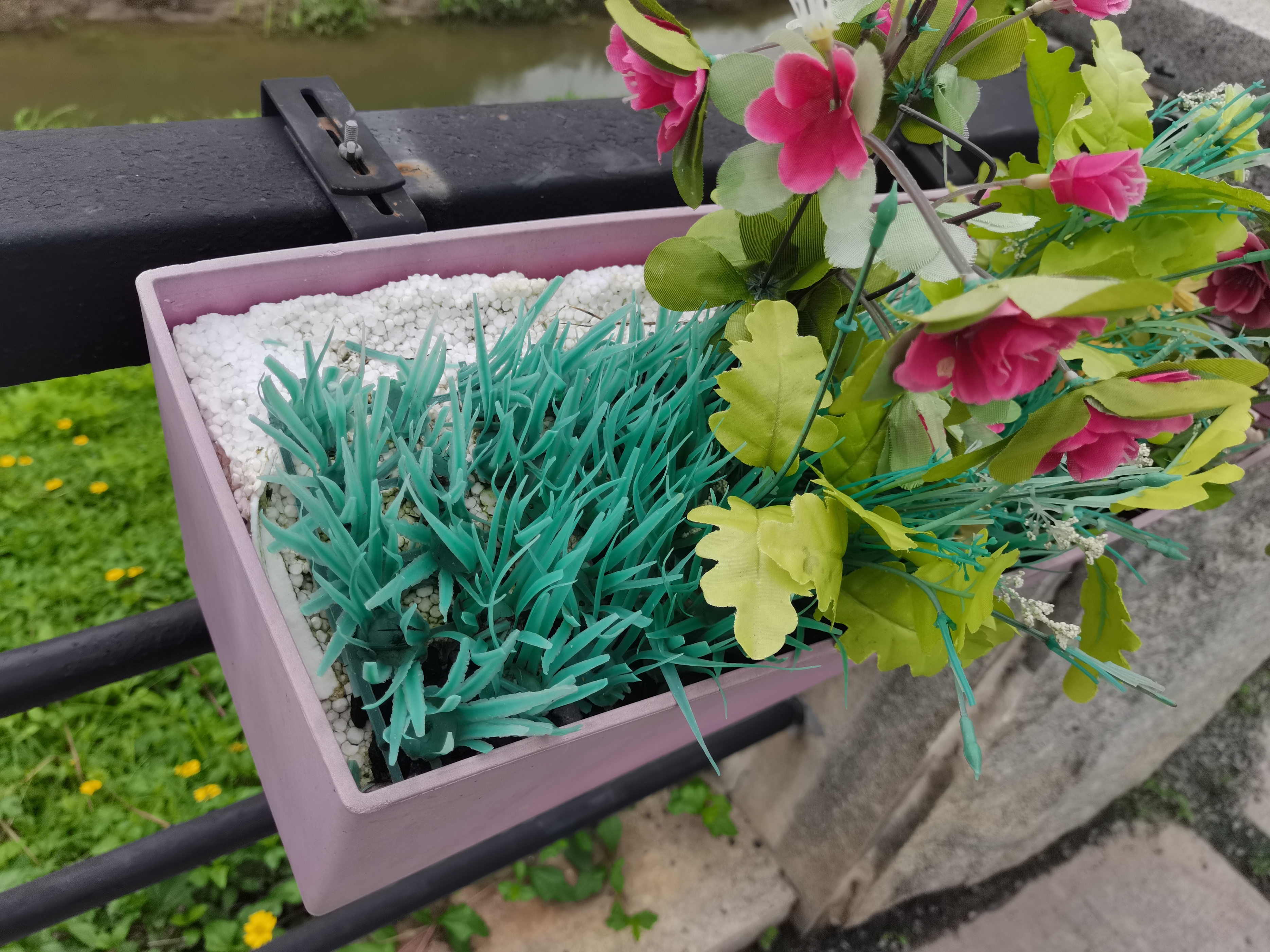 湿地公园里的树木,湿地公园的花图片