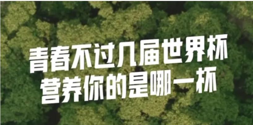 马上就是四年一度的世界杯，为什么看不到任何信息，包括赞助商的