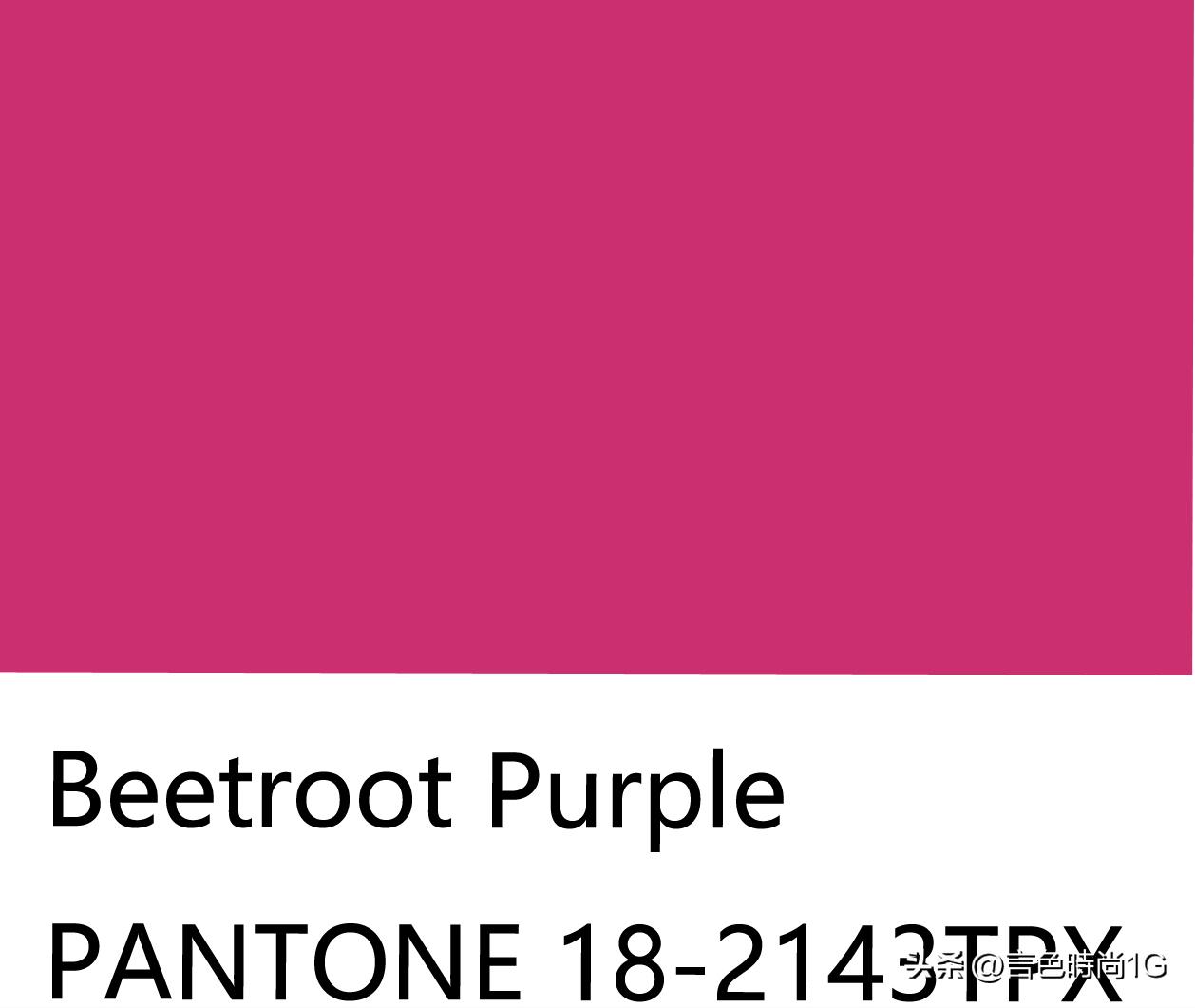 孙允珠黄棕色长裙,孙允珠奶油色裙子