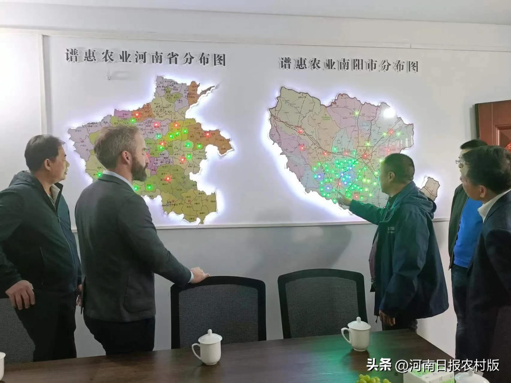 邓州市甜叶菊种植基地,促进产业发展农民增收