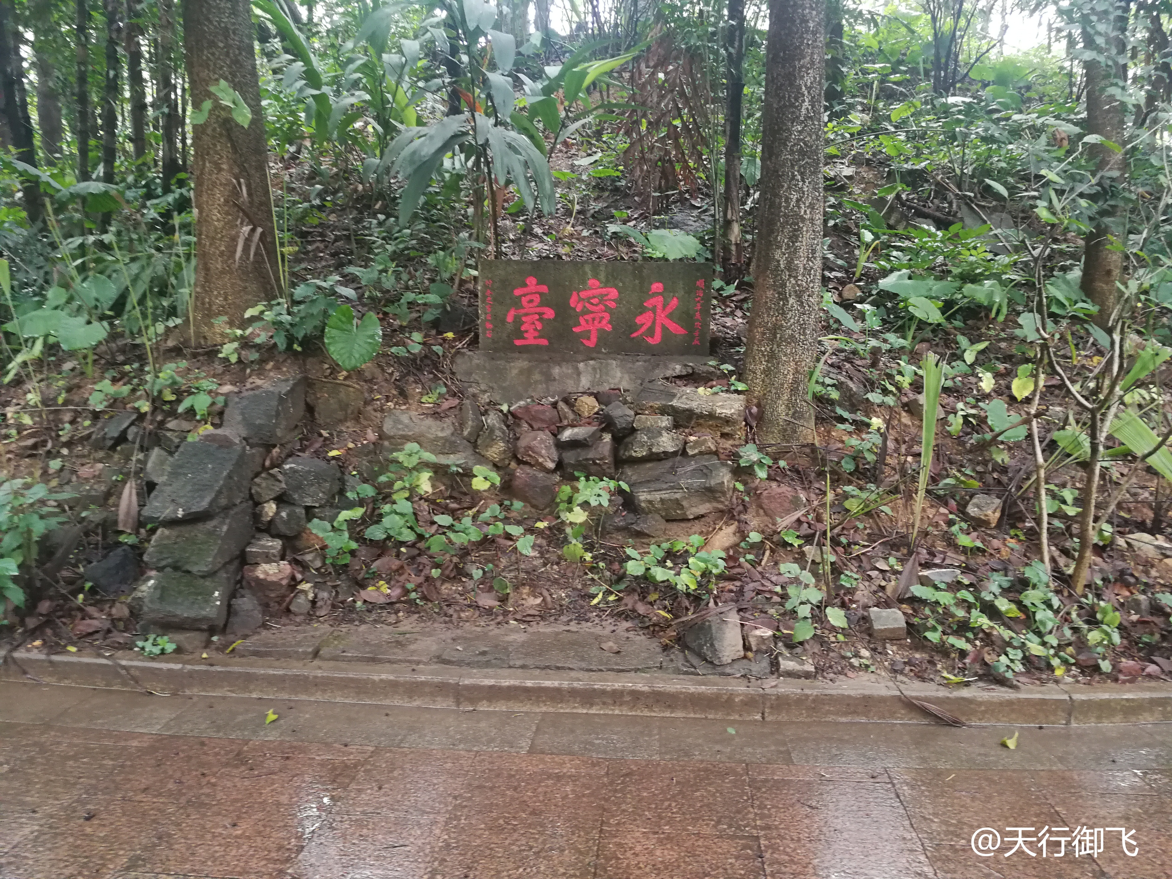 越秀公园游览最佳顺序,广州越秀公园旅游线路图