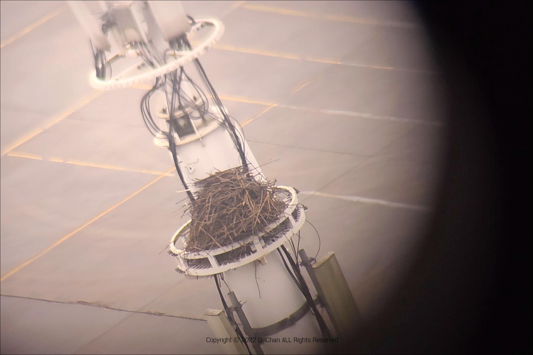 鏄熺壒鏈梥ctw-80鍜屾槦鐗规湕sctw70鍖哄埆,鏄熺壒鏈梥ctw-80鍜屾槦鐗规湕sctw70姣旇緝