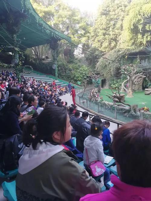 广州长隆野生动物园全部动物,广州长隆野生动物园所有动物介绍