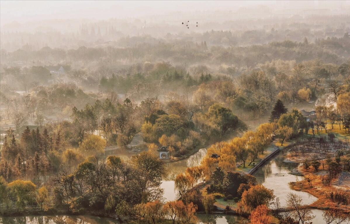 青山隐隐水迢迢秋尽江南草未凋,青山隐隐水迢迢杨再春书法欣赏