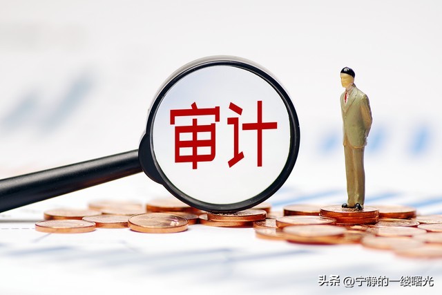 为河南点赞,河南省审计工作