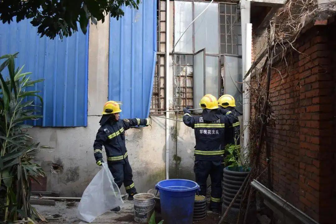 眼镜王蛇吃眼镜母王蛇真实记录,眼镜王蛇在蛇类中有天敌吗