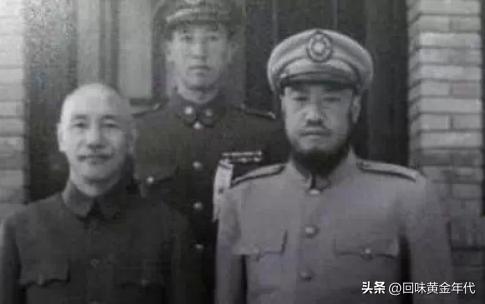 10位港星出身大比拼蔡少芬,十位港星