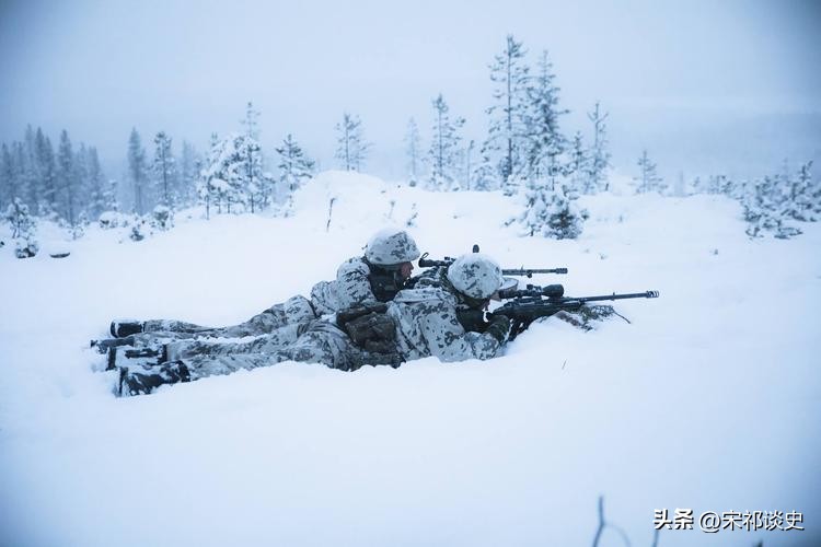 俄罗斯能打过芬兰瑞典吗,芬兰和俄罗斯的战争历史