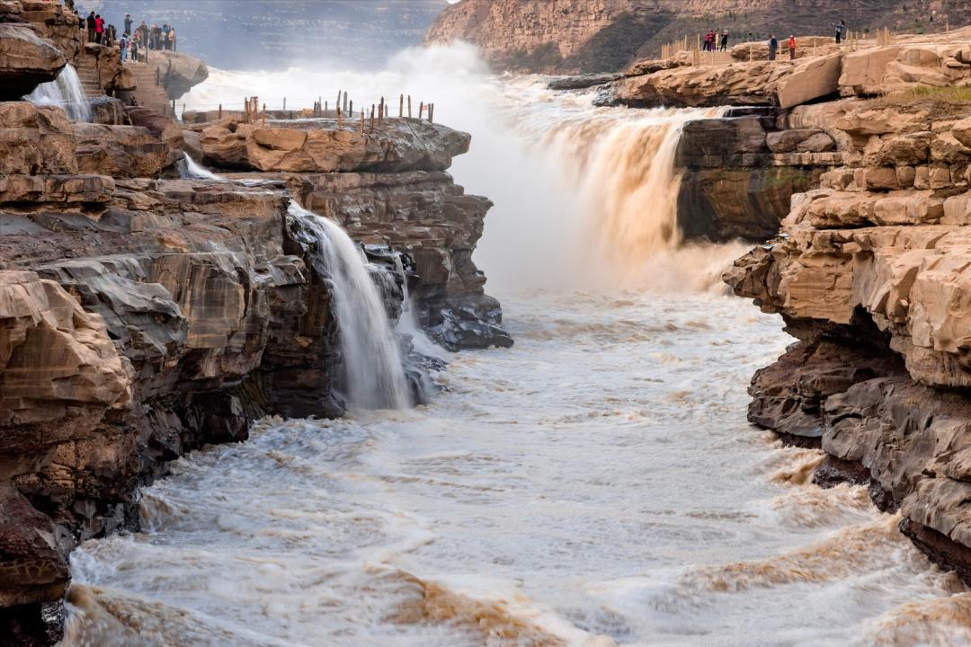 Ta的最佳观赏期到了,这个夏天安排上!