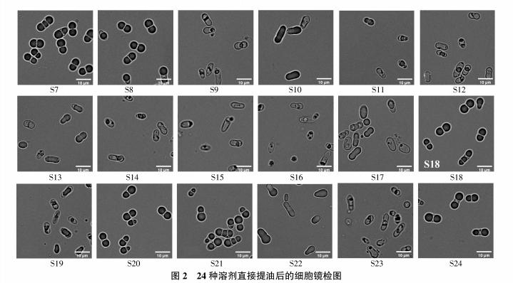 发酵液的提取常用方法,发酵液提取分离的主要方法