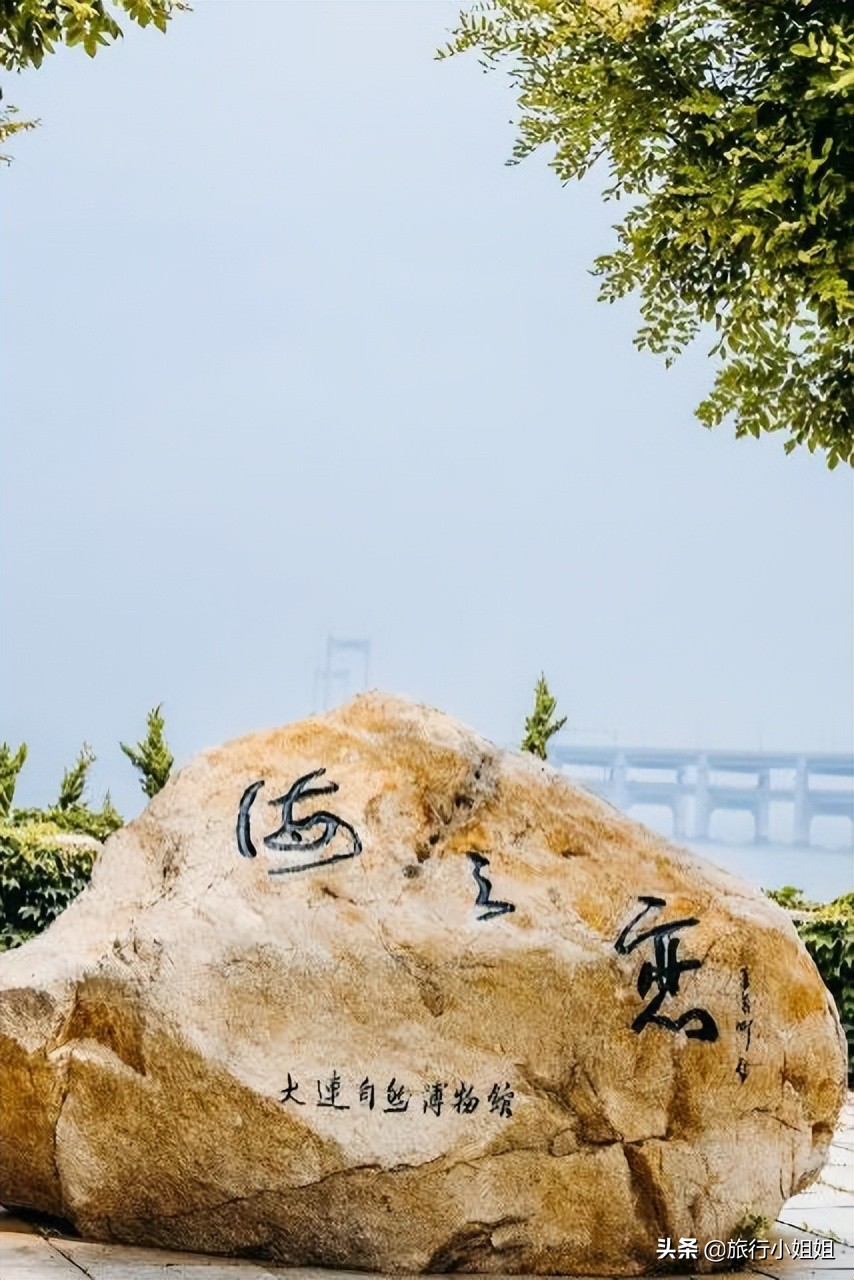 夏日海边微醺氛围感,滨城风光秀丽浪漫气息爆表