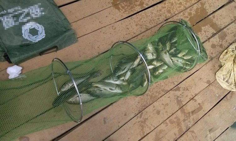 窝里有鱼不开口?不用急着收竿走人,有应对方法