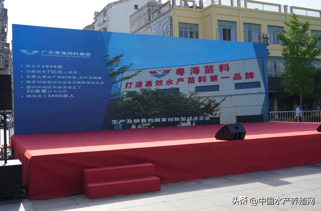 2023年南县小龙虾价格行情,南县小龙虾价格报价