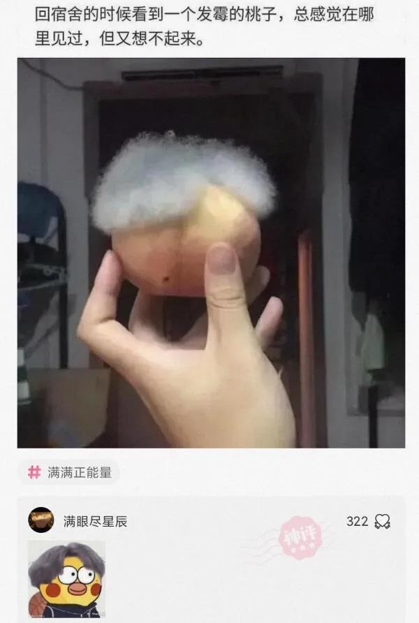 手上长了一条白毛可以拔掉吗,手上长了一条白毛是什么原因